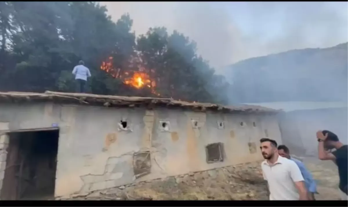 Hakkari'de Orman Yangını Kontrol Altına Alındı