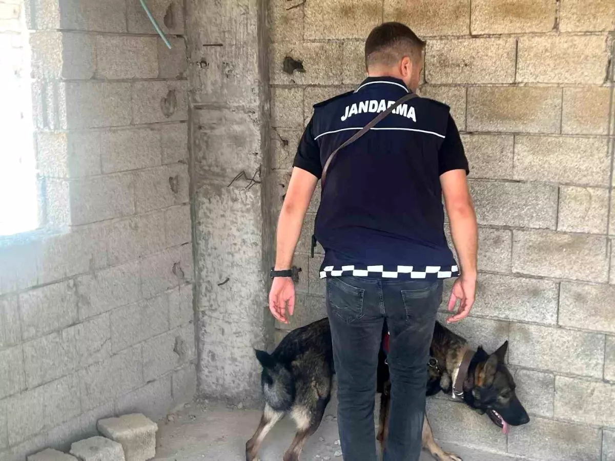 Kilis'te Okul Önlerinde Jandarma Denetimi