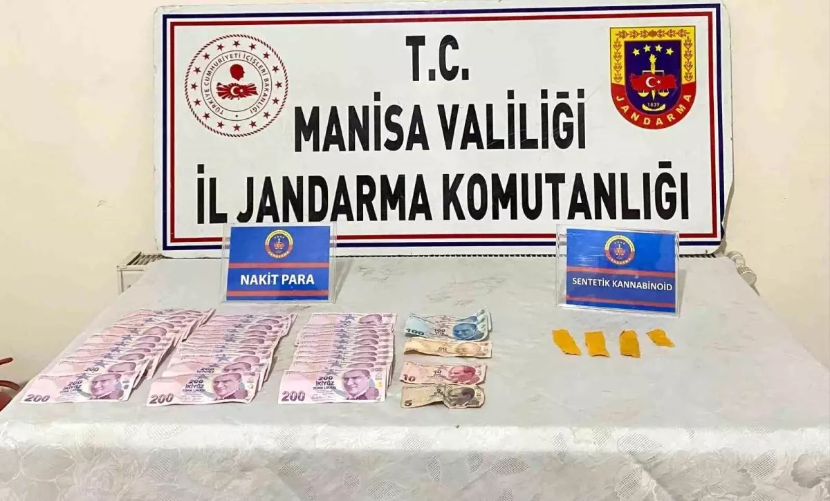 Manisa'da Jandarma Operasyonu: 64 Kök Kenevir ve 335 Gram Esrar Ele Geçirildi
