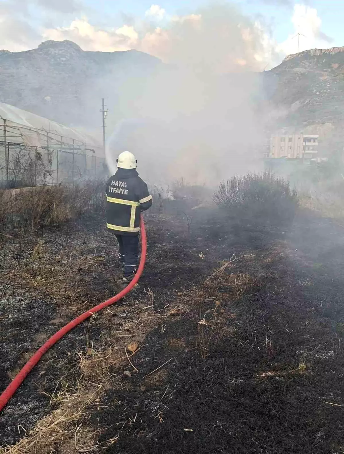 Samandağ'daki Bahçe Yangını, Seraları Tehdit Etmeden Söndürüldü
