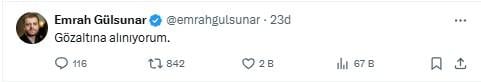 The founder of the Street Cat channel, Ebru Uzun Oruç, and academician Emrah Gülsunar have been detained