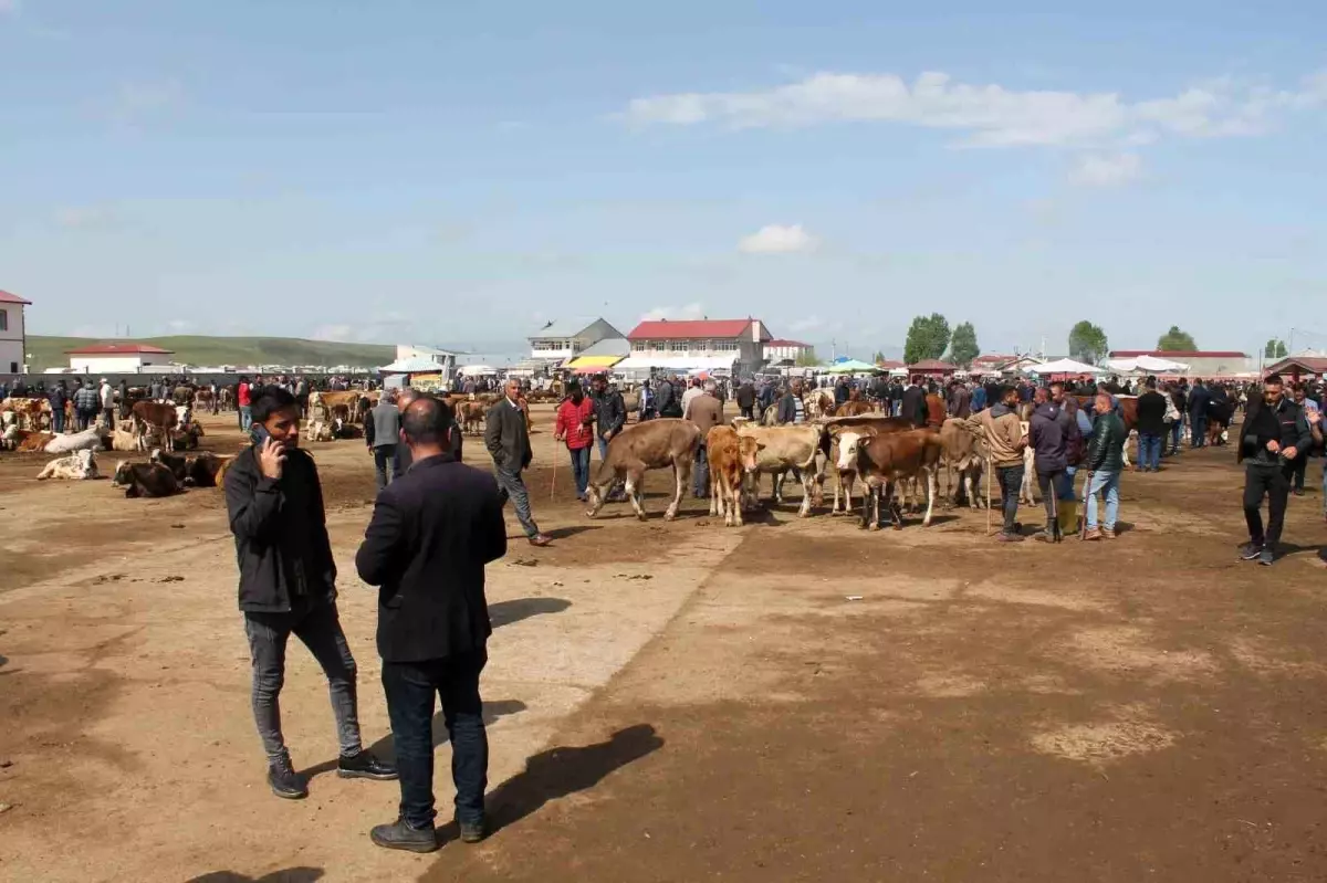 Ağrı Canlı Hayvan Borsası 10 Eylül'de Yeniden Açılıyor