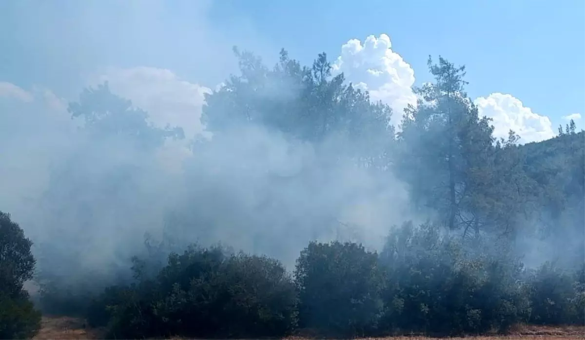 Kahramanmaraş'ta Orman Yangını Kontrol Altına Alındı