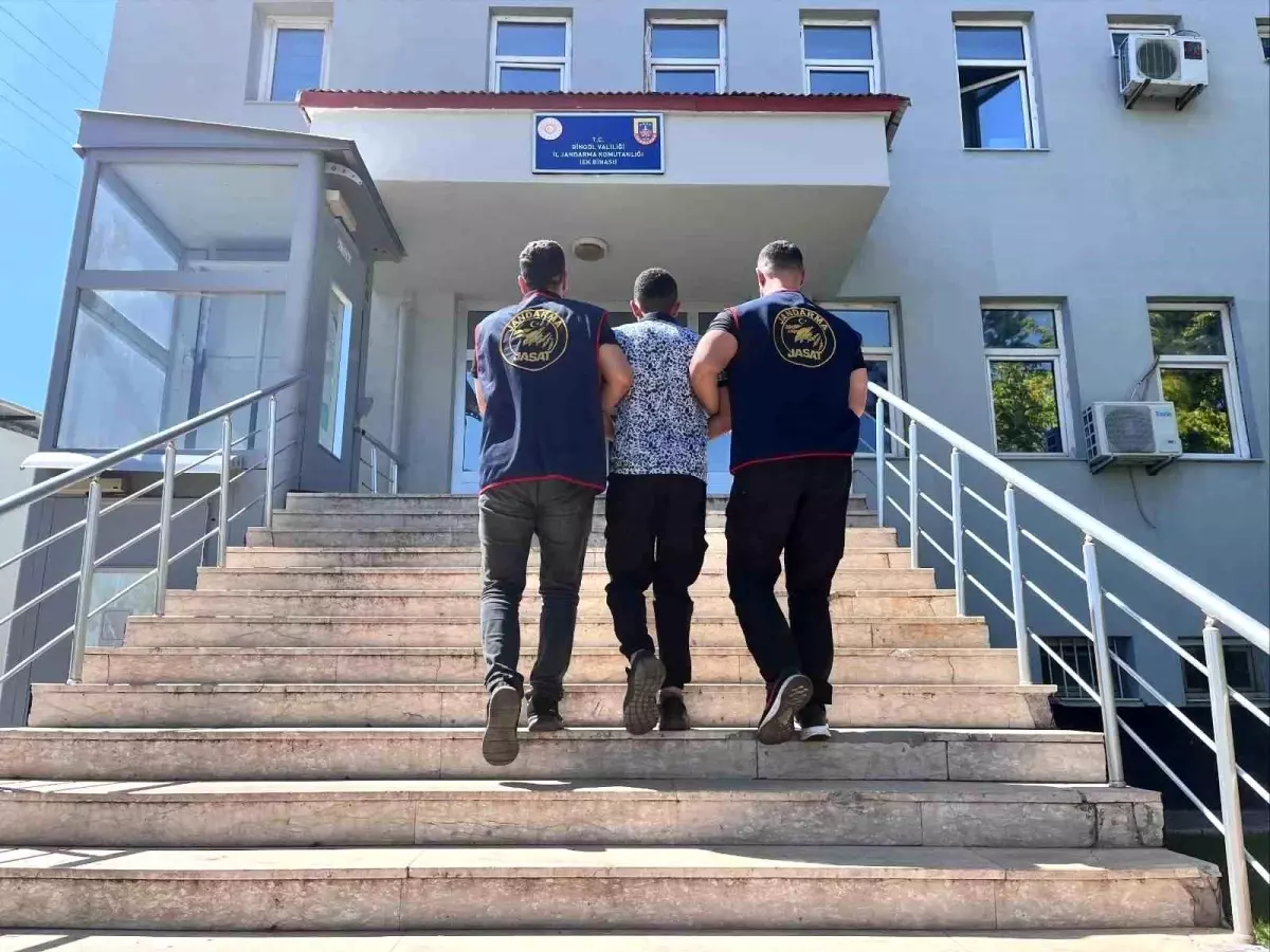 Bingöl'de Aranan Dolandırıcı Yakalandı