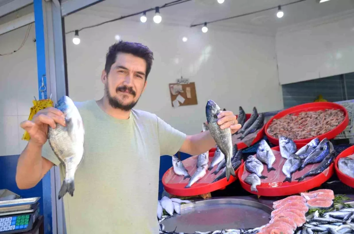 Bilecik'te Balık Sezonu Sardalya ile Şenlendi