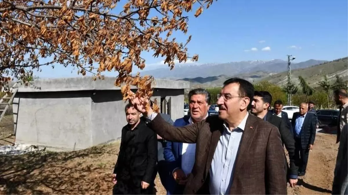 Malatya Üreticisine Destek Ödemeleri Başladı