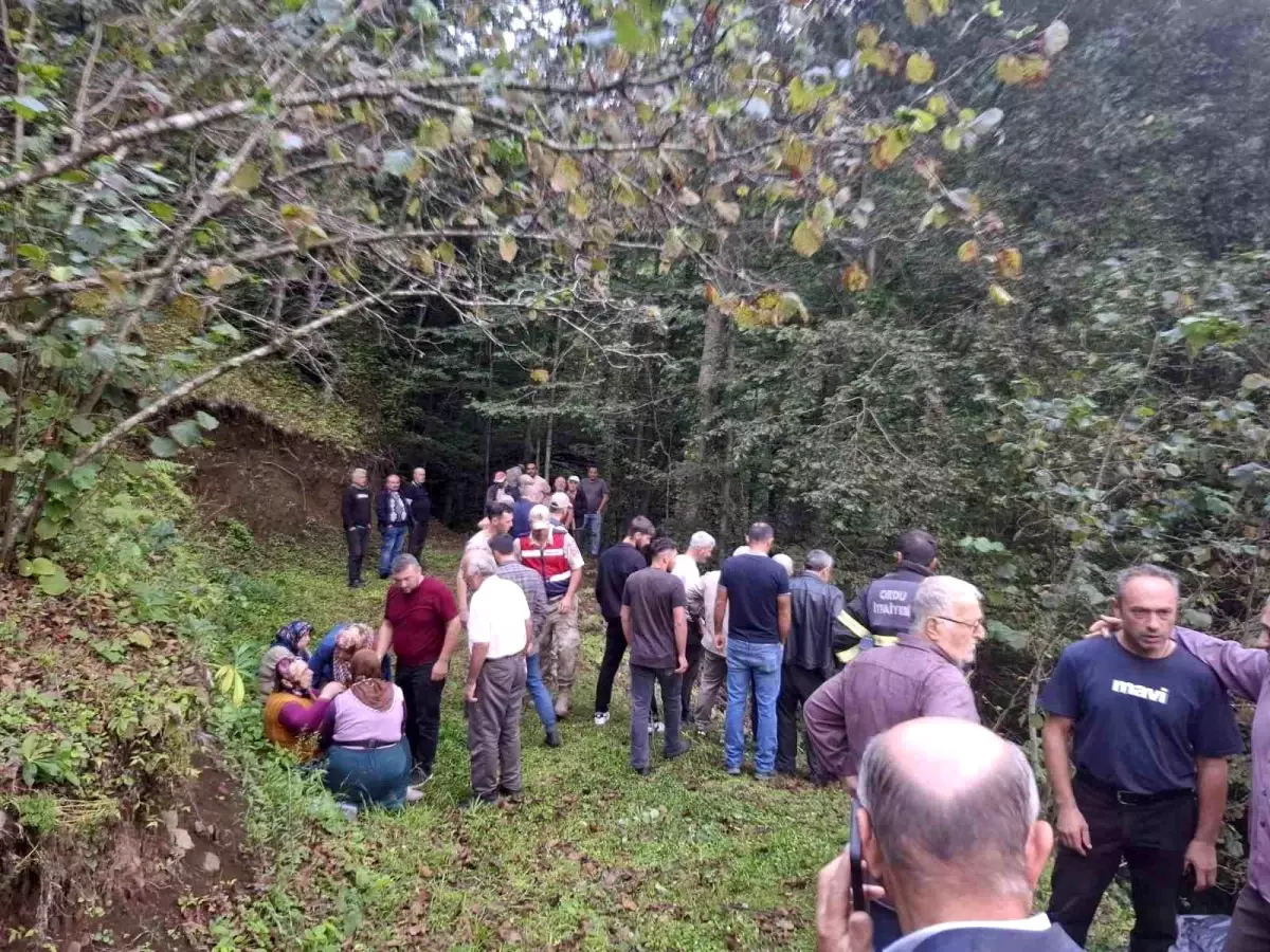 Ordu'da Tarım Aracının Uçuruma Yuvarlanması: 70 Yaşındaki Sürücü Hayatını Kaybetti