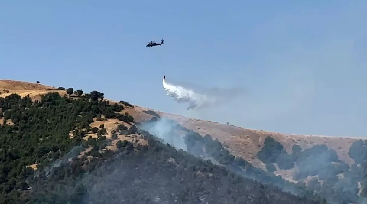Hakkari'de Orman Yangınına Müdahale Devam Ediyor