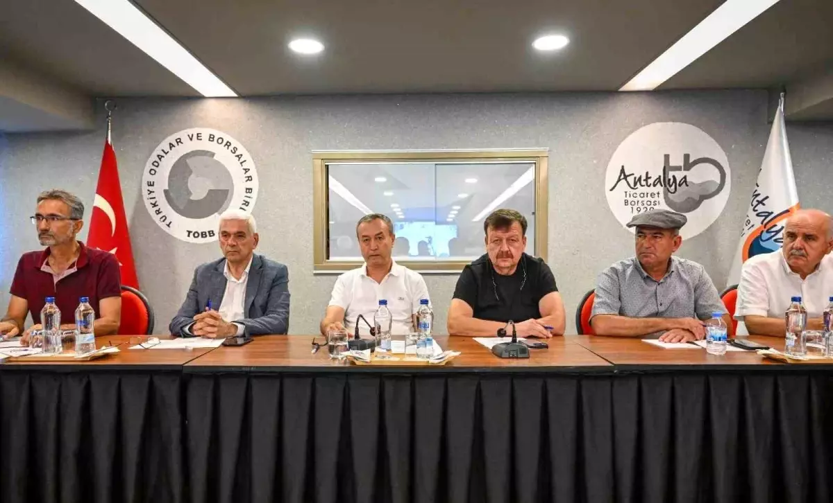 Antalya'da Zeytin ve Zeytinyağı Sektör Analiz Toplantısı Düzenlendi