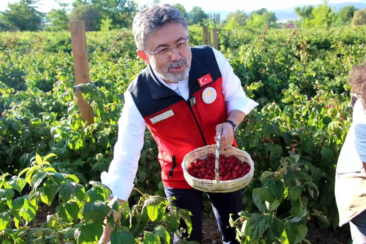 Tarım ve Orman Bakanı Yumaklı: Genç Üreticilerle Tarımda Yeni Bir Ekosistem Kuruluyor