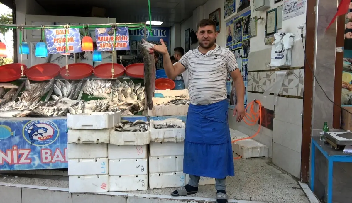 Kilis'te Balık Sezonu Açıldı, Çeşitler ve Fiyatlar Artacak