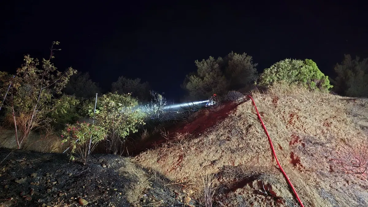 Mudanya'da Anız Yangını Kontrol Altına Alındı