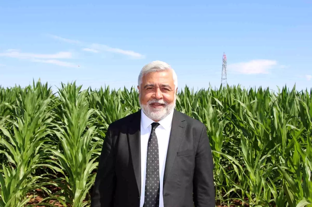 Kuraklık ve Sulama Sorunları Güneydoğu Anadolu'yu Tehdit Ediyor