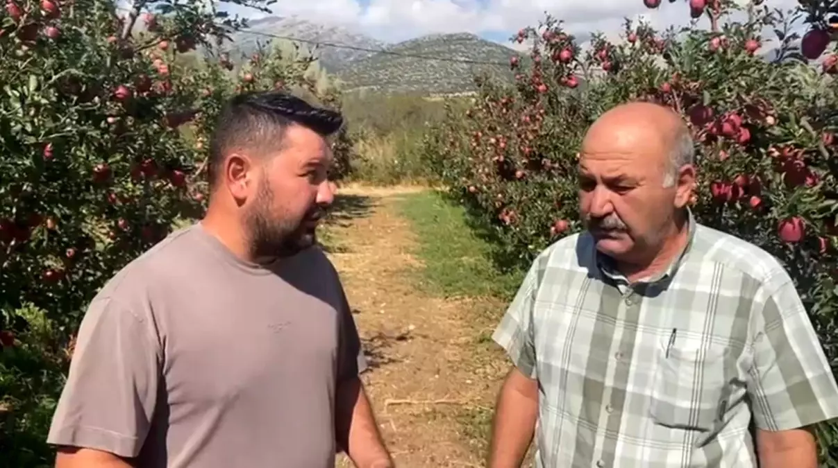 Isparta'da Dolu Yağışı Elma Üreticilerini Vurdu