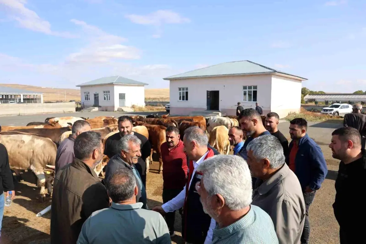 Kars'taki Hayvan Pazarı Yeniden Açıldı