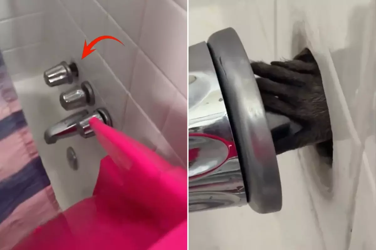 Otel banyosunda korku filmlerini aratmayan manzara