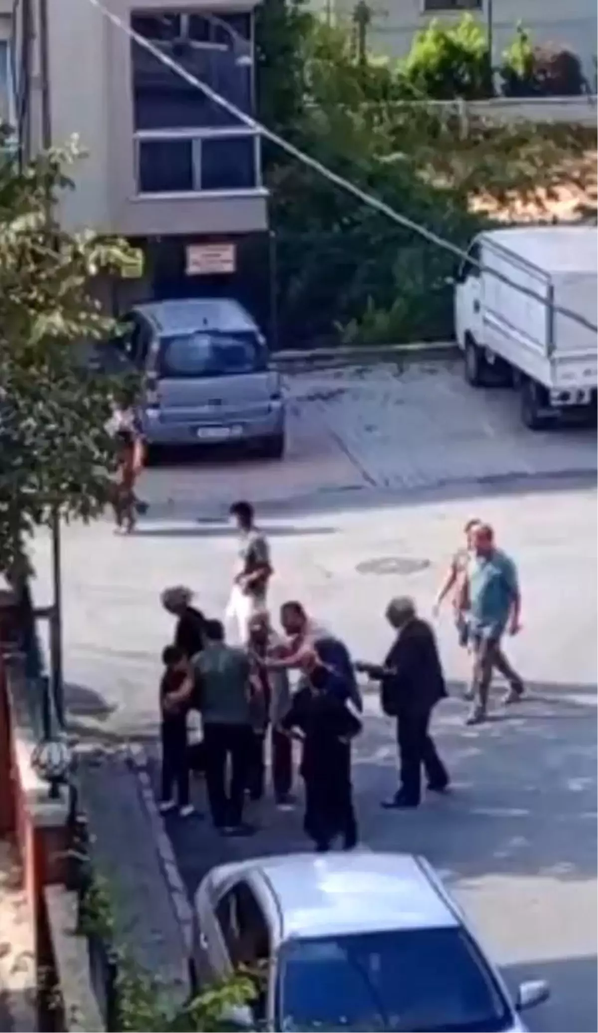 İstanbul'da Sokak Köpeği Isırınca Bıçaklı Kavga Çıktı