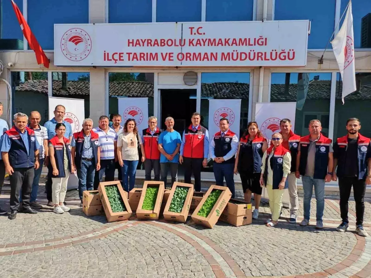 Hayrabolu'da Genç Çiftçilere Kışlık Sebze Fidesi Dağıtımı