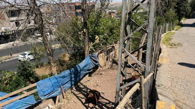 22 yasindaki genc keciye dokundugu an elektrik 19037716 333 m