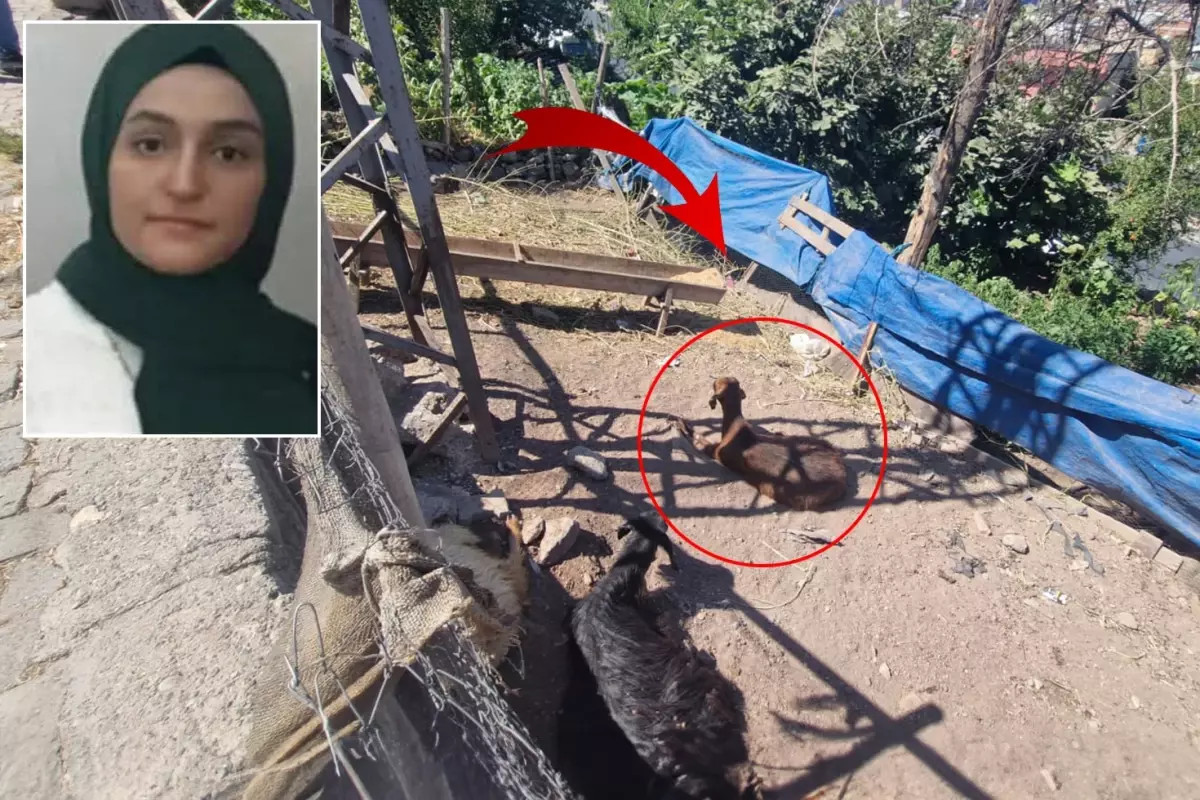 22 yaşındaki genç keçiye dokunduğu an elektrik akımına kapılarak hayatını kaybetti