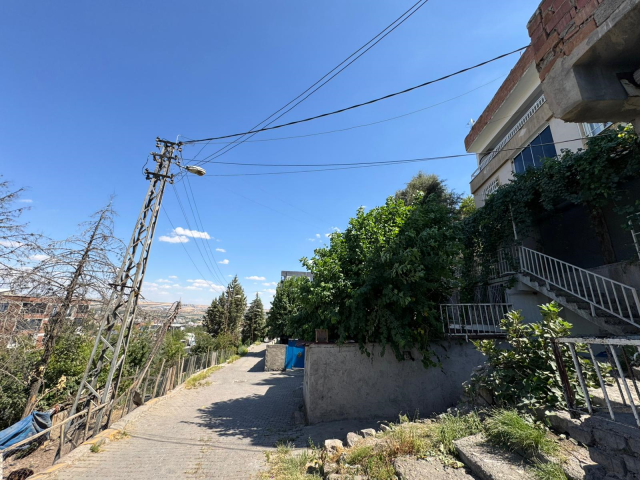 22 yasindaki genc keciye dokundugu an elektrik 19037716 7163 m