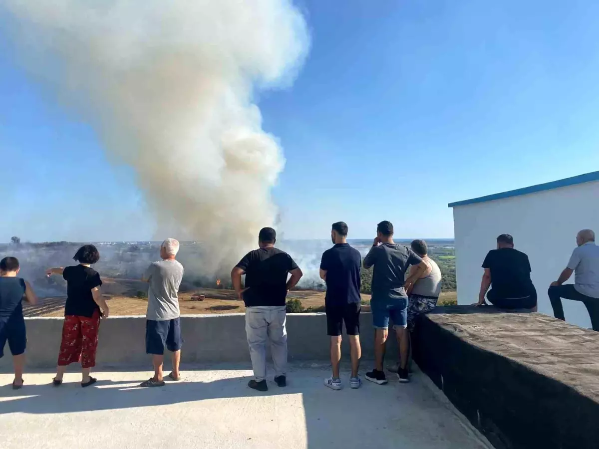 Antalya'da Yangın Zeytin Ağaçlarına Zarar Verdi