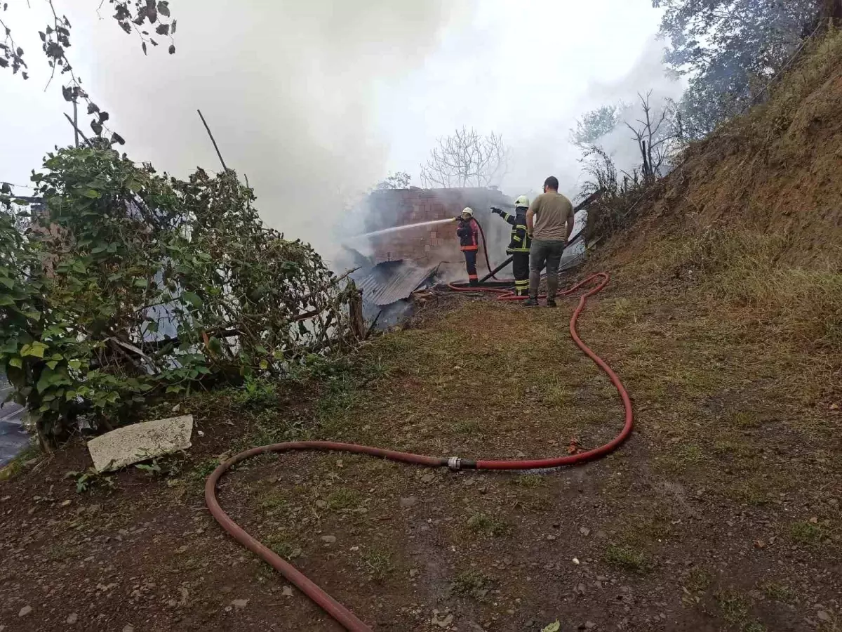 Artvin'de Yangın: 4 Ev Kül Oldu