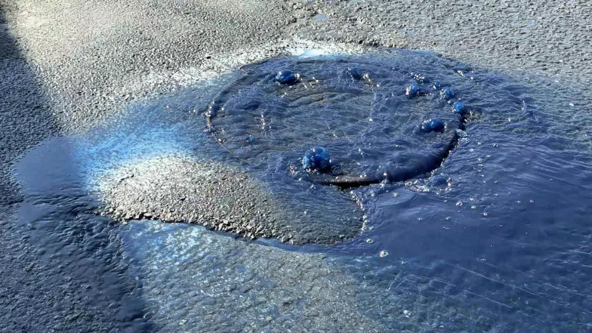 İstanbul'da Mavi Atık Su Taşkını Endişe Yarattı