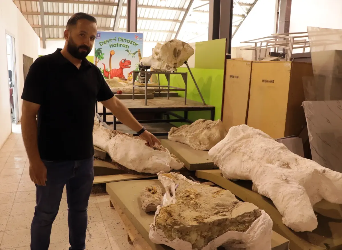 Kayseri'de 7,7 Milyon Yıllık Fil Fosilleri Bulundu