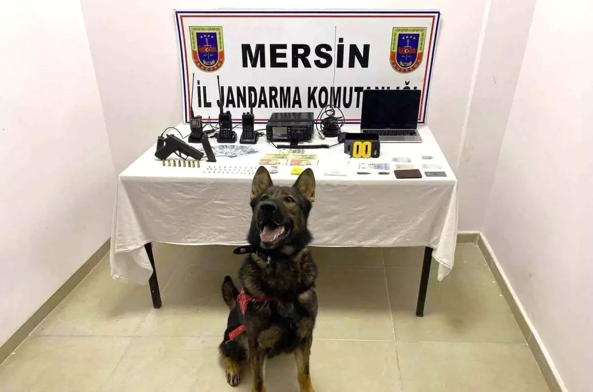 Mersin'de Uyuşturucu Ticareti Operasyonu: 1 Tutuklama