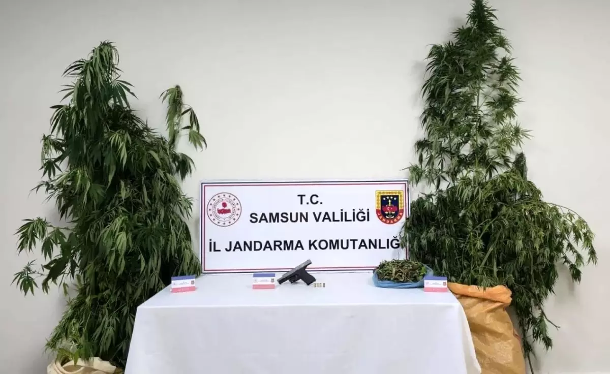 Samsun'da Uyuşturucu Operasyonu: 6 Kilo Esrar ve Kenevir Ele Geçirildi