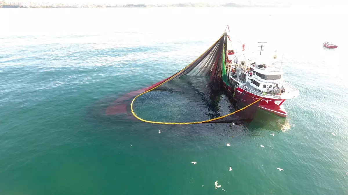 Sinop'ta Balıkçılar Yeni Sezona Umutla Başladı