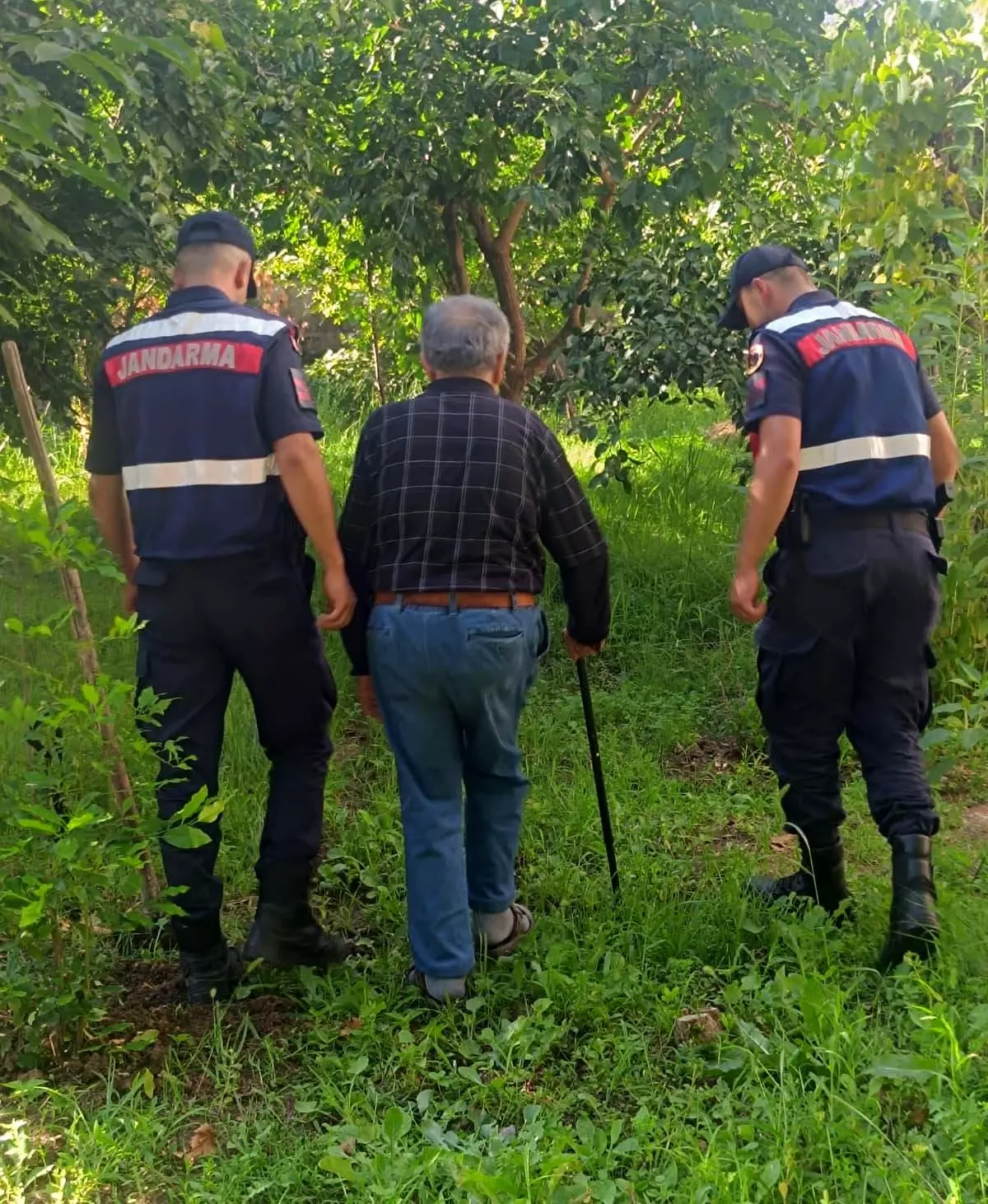 Alzheimer Hastası 83 Yaşındaki Adam Ormanlık Alanda Bulundu