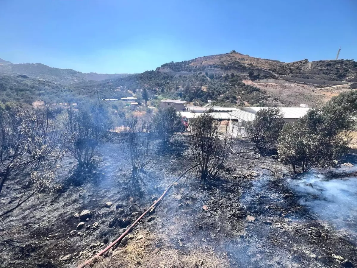 Hatay'da Bahçedeki Yangın Evleri Tehdit Etmeden Söndürüldü
