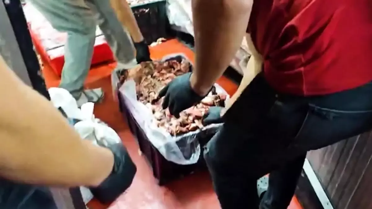 Ankara'da Gıda Denetimlerinde Uygunsuzluk Tespiti: 1316 Kilogram Ürün İmha Edildi