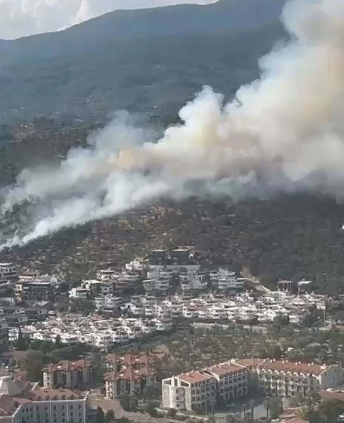 Balıkesir Edremit'te Orman Yangını: Havadan ve Karadan Müdahale Başladı