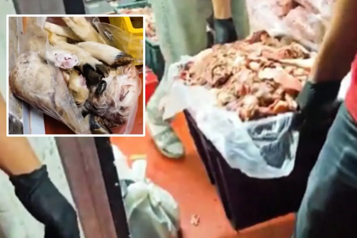 Başkentte mide bulandıran skandal! Hepsini halka yedireceklerdi