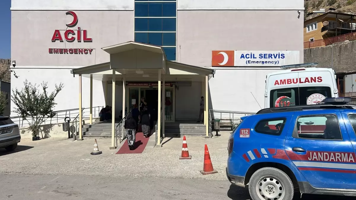 Ceviz Toplamak İçin Ağaca Çıkan Adam Düştü