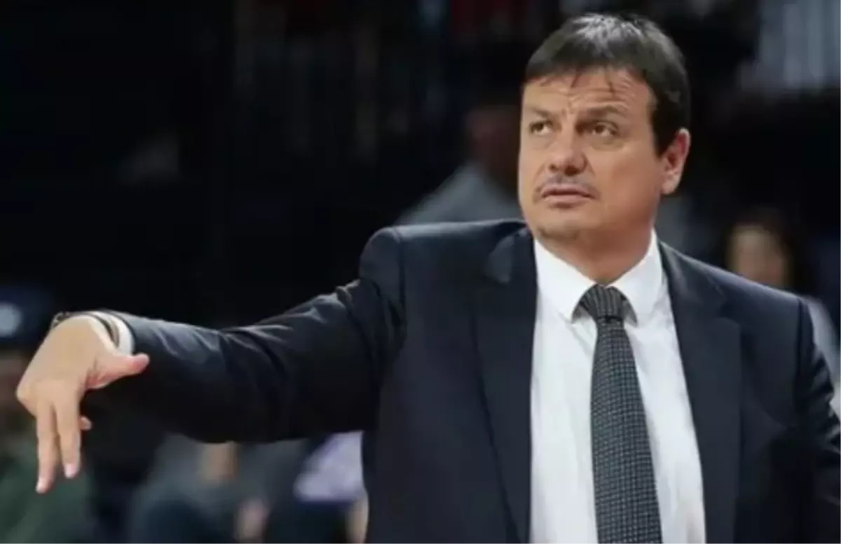 Ergin Ataman basketbol oynadı mı?