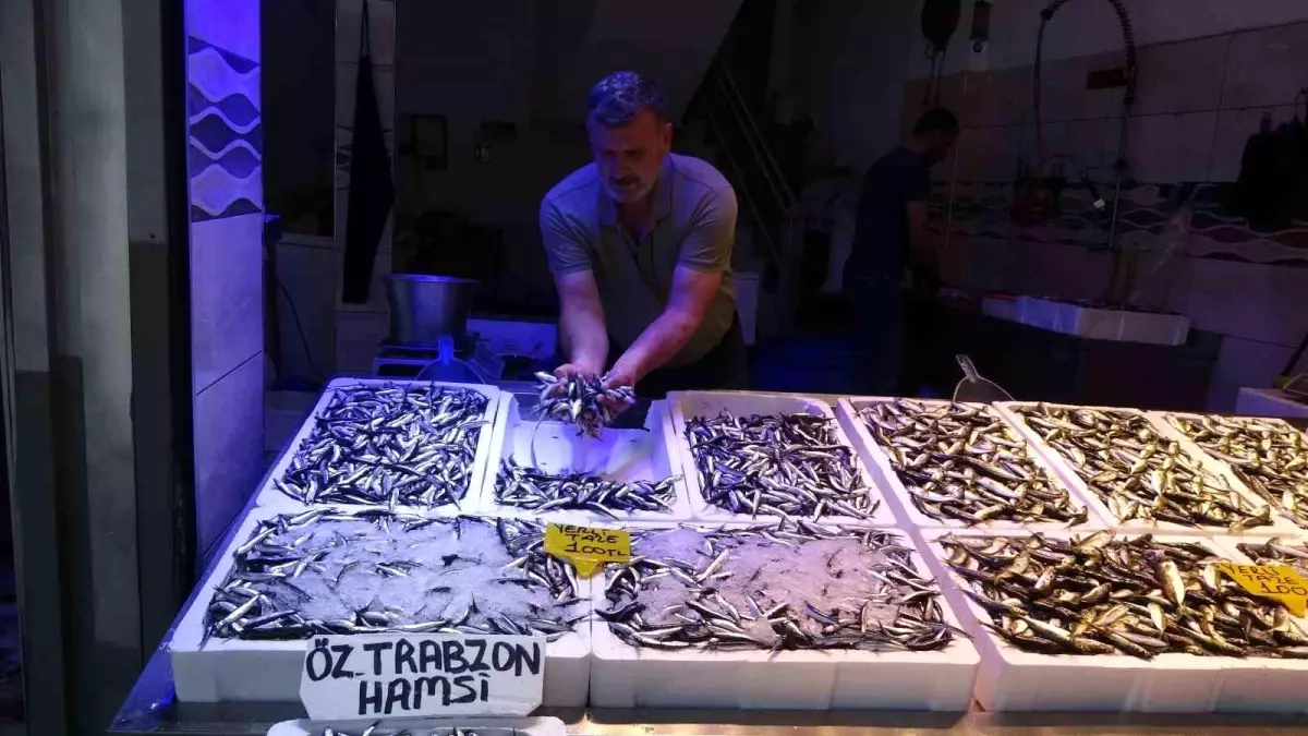 Hamsi Fiyatlarında Düşüş: Kilo 100 TL