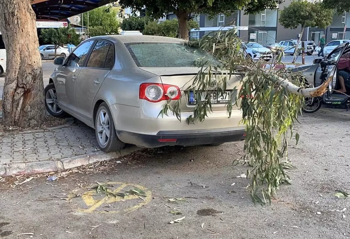 Mersin'de Kırılan Ağaç Dalı Park Halindeki Arabaya Zarar Verdi