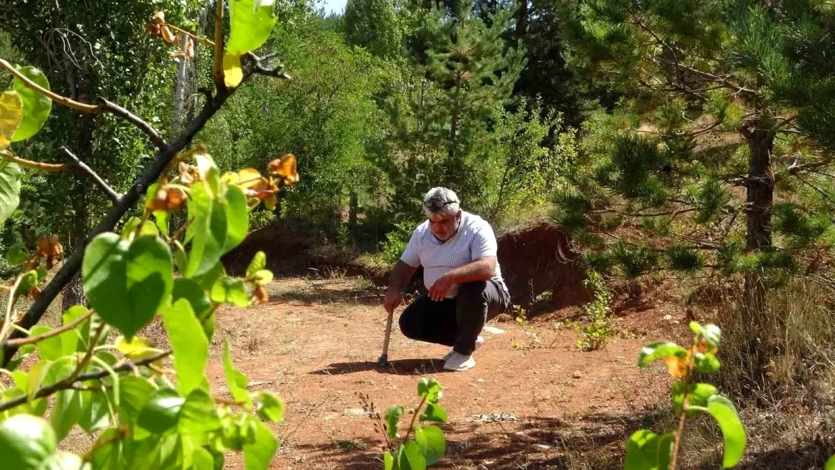 Bayburt'ta Kehribar İşlemeciliği: Doğadan Takıya Dönüşüm