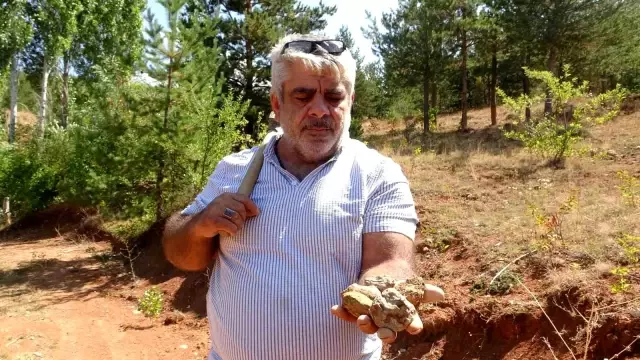 bayburt ta kehribarin zorlu mesaisi topraktan 2 19043372 o