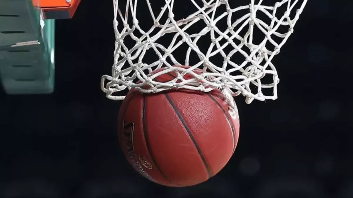 EuroBasket şampiyonu ne kadar kazanıyor? Türkiye Almanya'yı yenerse ne kadar para ödülü kazanacak?