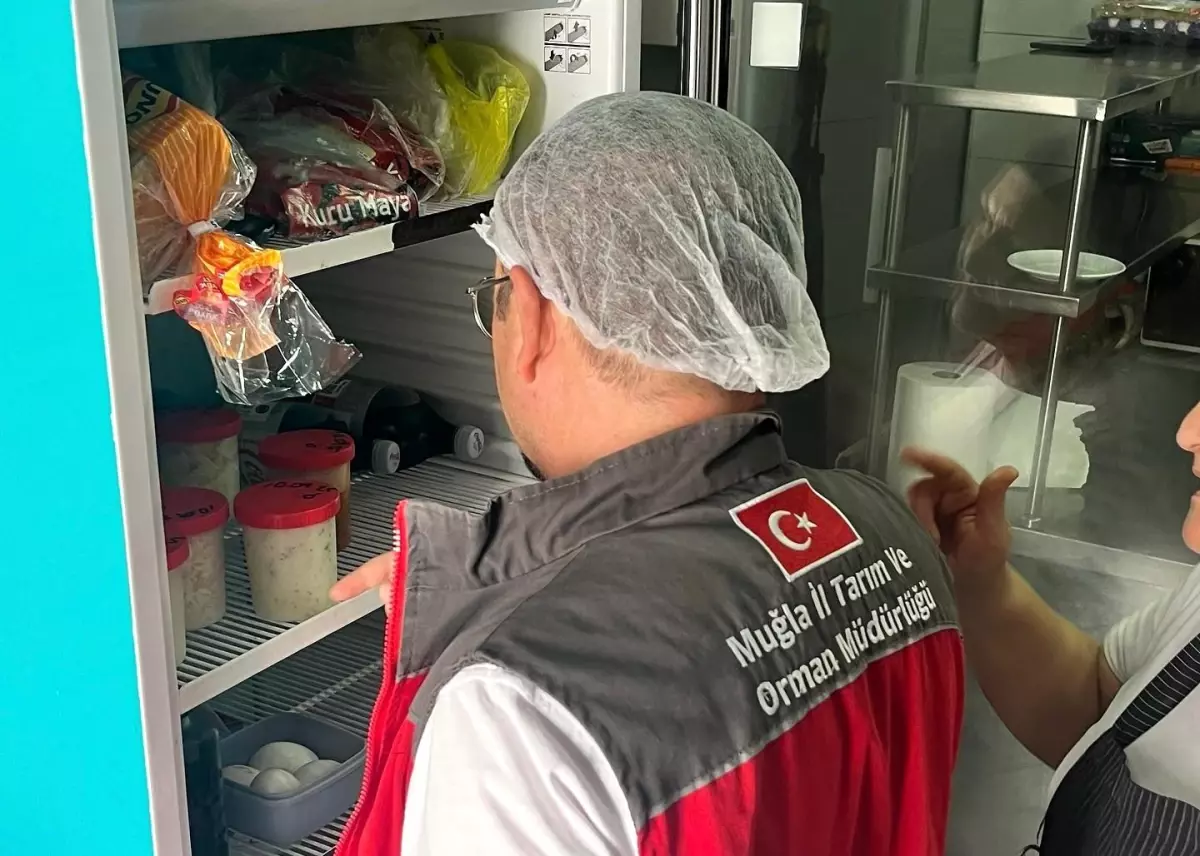 Muğla'da Okullarda Gıda Denetimleri Artırıldı