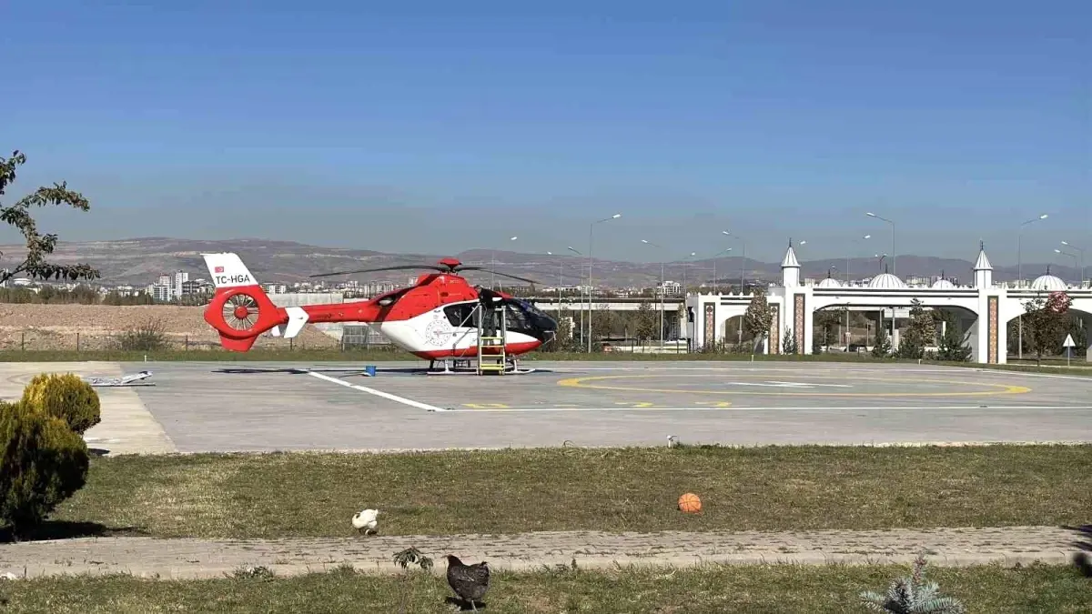 Sivas'ta Ayı Saldırısına Uğrayan Kadın Hastaneye Kaldırıldı