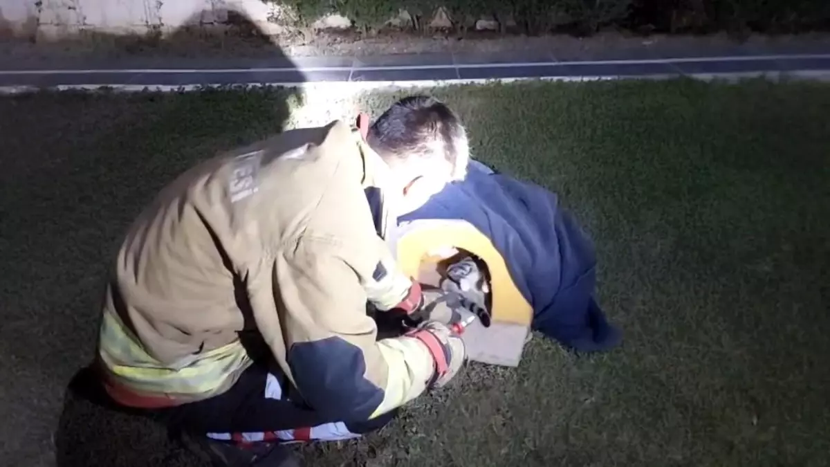 Arsuz'da Yaralı Kedi İtfaiye Ekipleri Tarafından Kurtarıldı