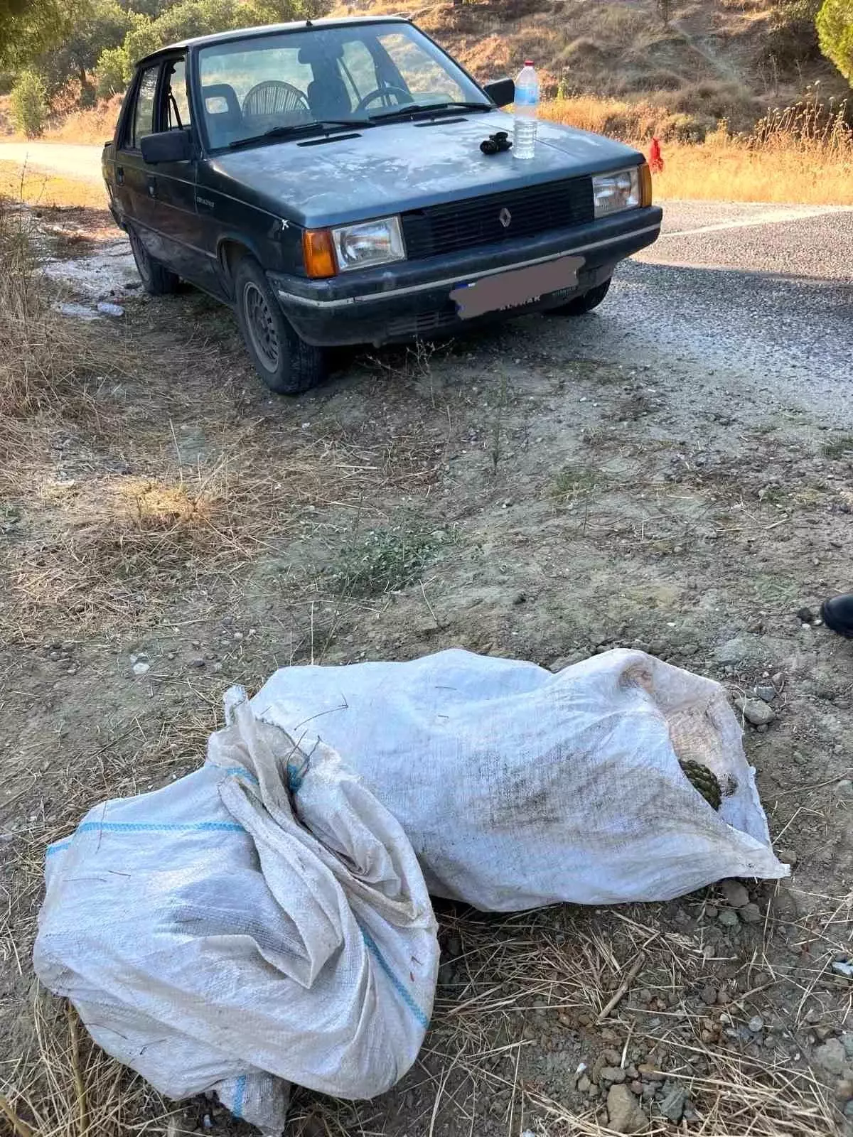 Manisa'da 95 Kilogram Çam Fıstığı Çalan İki Hırsız Yakalandı