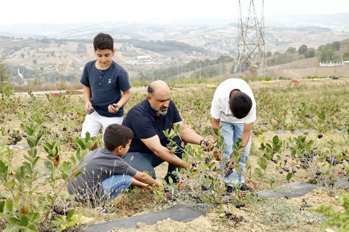 Rahatsızlığına şifa ararken hayatının işini buldu! Daha dalındayken kapış kapış gidiyor
