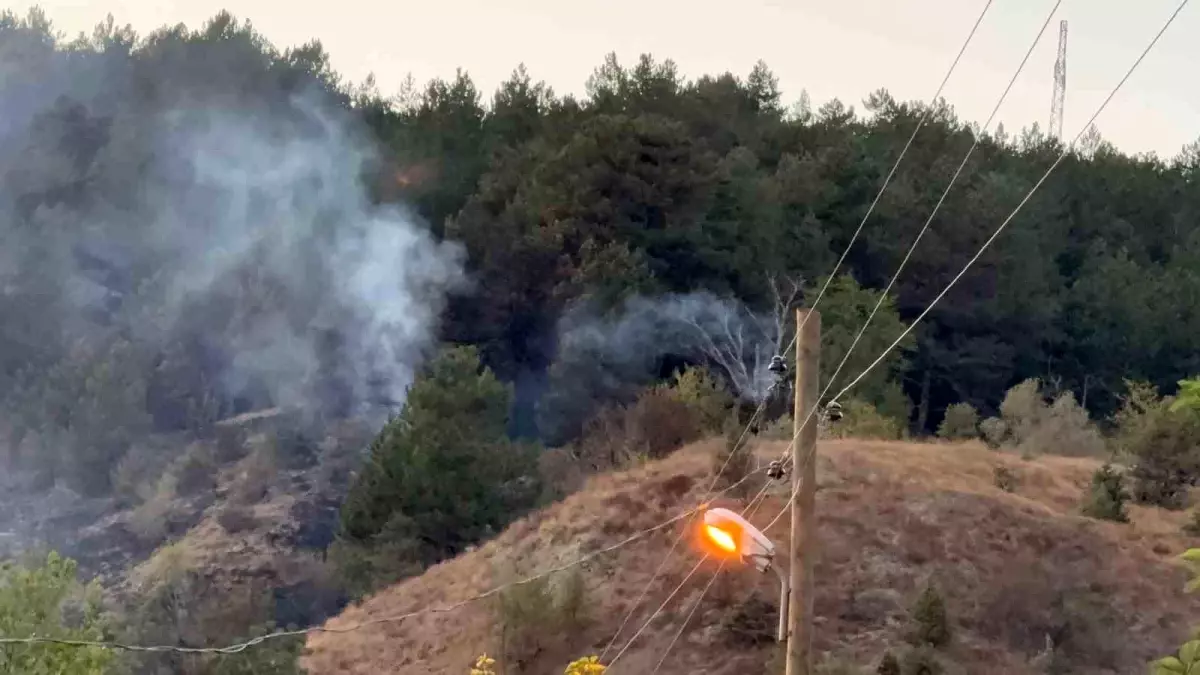 Karabük'te Ormana Sıçrayan Yangın Kontrol Altına Alındı